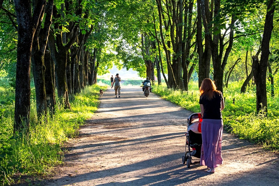 Stroller walk around a park