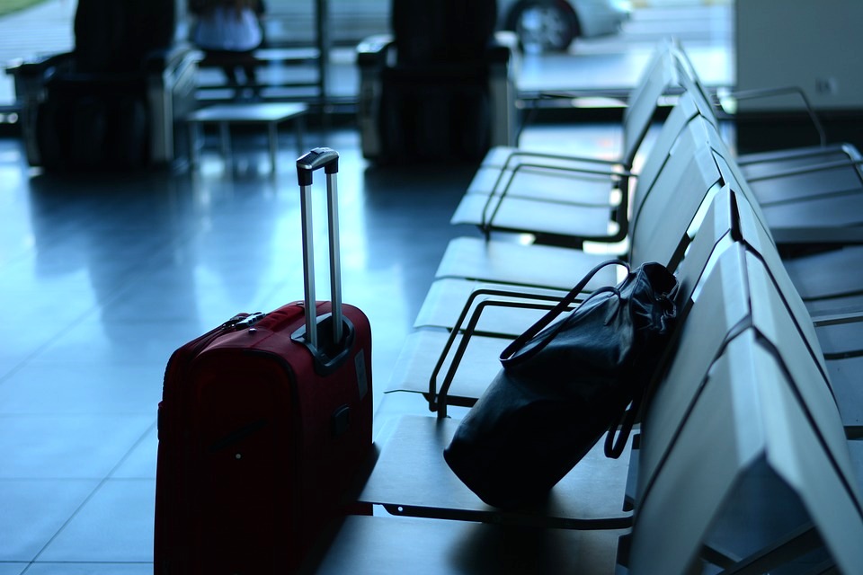 Ski Travel Bag -Airport