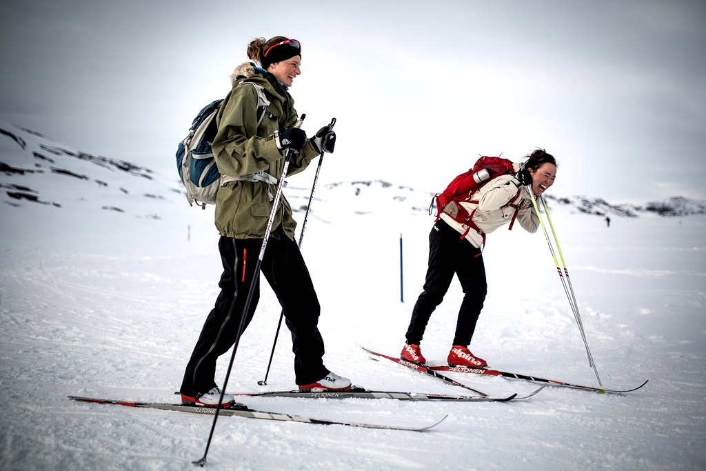 Ski Travel Bag - Skiers Having a Great Time