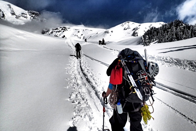 Ski Travel Bag - Trail in The Mountain