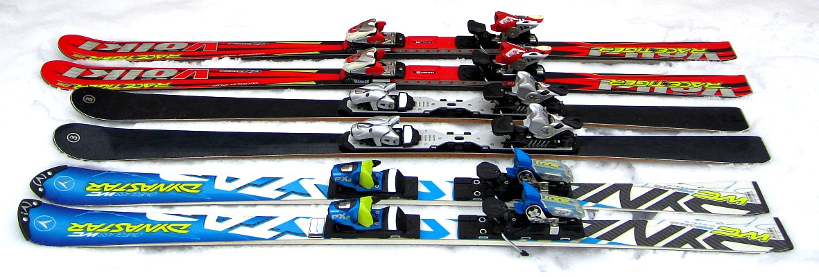 Ski Travel Bag - Skis