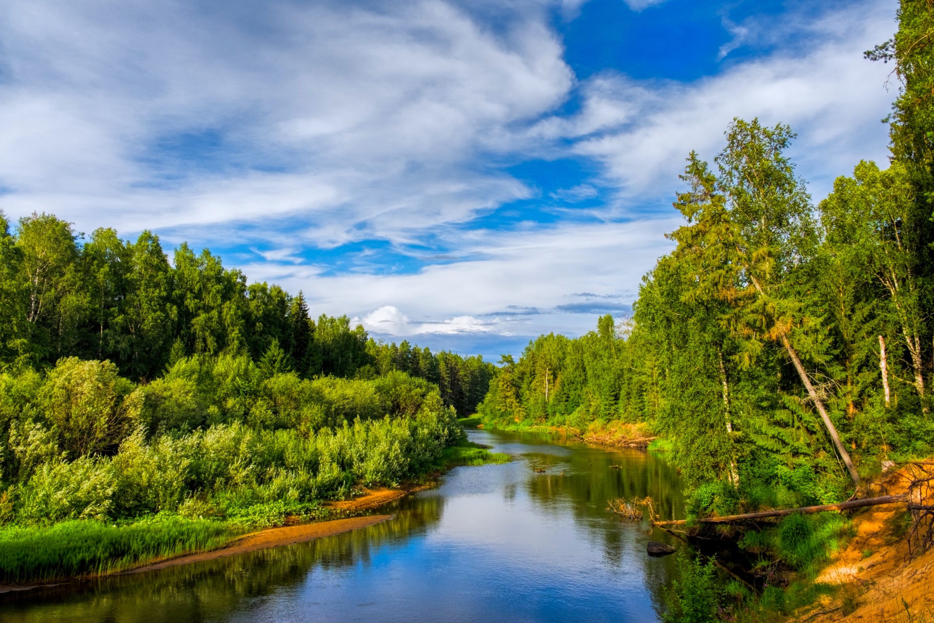 Russian river. Река в тайге. Тайга России речка. Лес речка Россия. Тайга лес река.