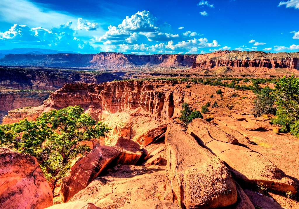 MLK - Capitol Reef National Park