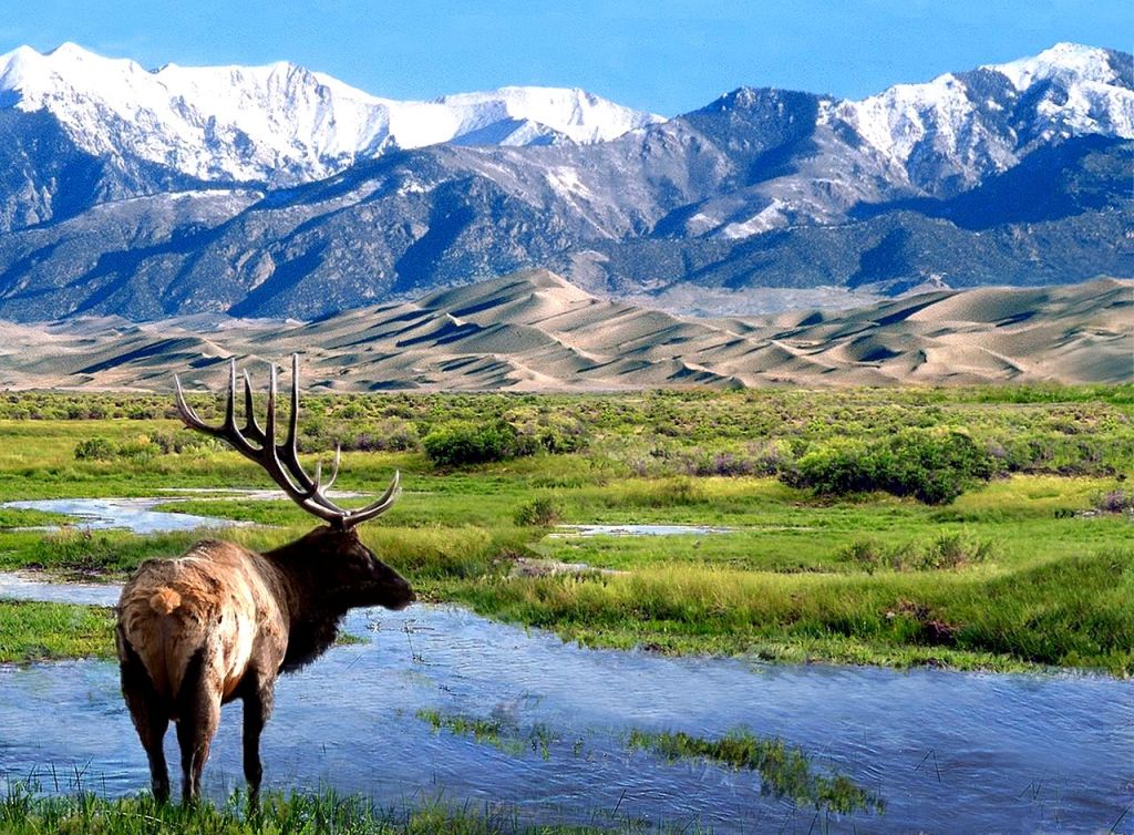 MLK - Great Sand Dunes National Park