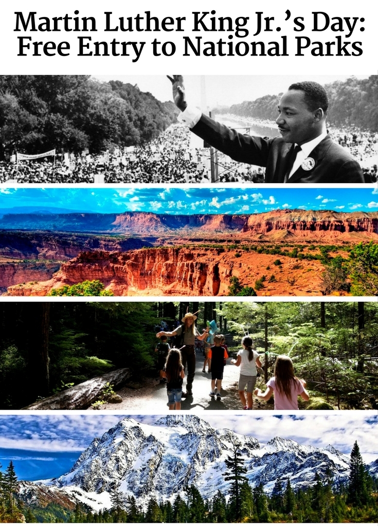 Mlk pinterest