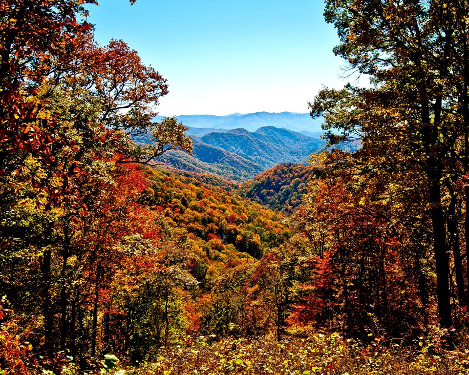 MLK - Great Smoky Mountains National Park