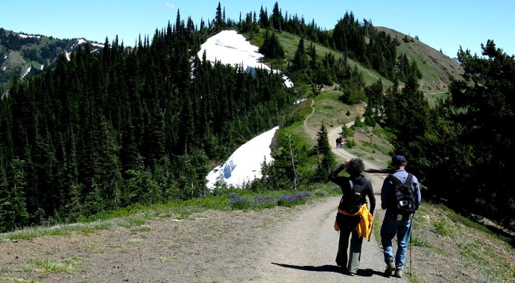 Hiking in olympic national park